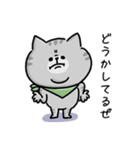 海外ドラマで言ってそう_毎日猫さん(更新)（個別スタンプ：24）