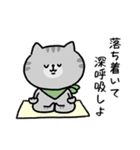 海外ドラマで言ってそう_毎日猫さん(更新)（個別スタンプ：29）