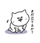 海外ドラマで言ってそう_毎日猫さん(更新)（個別スタンプ：36）