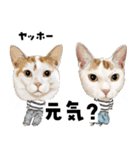 ミッキー玉国のお友達に使いたいスタンプ（個別スタンプ：2）