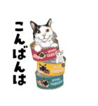 ミッキー玉国のお友達に使いたいスタンプ（個別スタンプ：6）