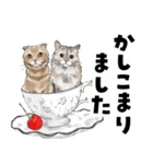 ミッキー玉国のお友達に使いたいスタンプ（個別スタンプ：9）