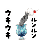 ミッキー玉国のお友達に使いたいスタンプ（個別スタンプ：11）