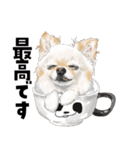 ミッキー玉国のお友達に使いたいスタンプ（個別スタンプ：13）