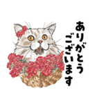 ミッキー玉国のお友達に使いたいスタンプ（個別スタンプ：14）