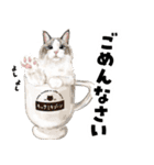 ミッキー玉国のお友達に使いたいスタンプ（個別スタンプ：15）