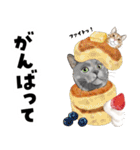 ミッキー玉国のお友達に使いたいスタンプ（個別スタンプ：21）
