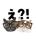ミッキー玉国のお友達に使いたいスタンプ（個別スタンプ：23）