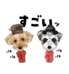 ミッキー玉国のお友達に使いたいスタンプ（個別スタンプ：26）