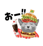 ミッキー玉国のお友達に使いたいスタンプ（個別スタンプ：31）