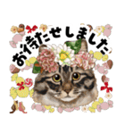 ミッキー玉国のお友達に使いたいスタンプ（個別スタンプ：33）