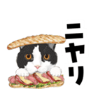 ミッキー玉国のお友達に使いたいスタンプ（個別スタンプ：34）