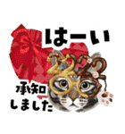 ミッキー玉国のお友達に使いたいスタンプ（個別スタンプ：36）
