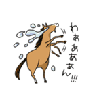 競馬を楽しむ馬6（個別スタンプ：16）