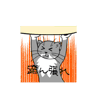 ウチのグレ蔵（個別スタンプ：3）