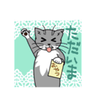 ウチのグレ蔵（個別スタンプ：19）