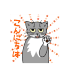ウチのグレ蔵（個別スタンプ：21）