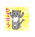 ウチのグレ蔵（個別スタンプ：22）