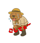 信州 おじさん犬（個別スタンプ：1）