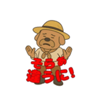 信州 おじさん犬（個別スタンプ：31）