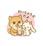 めめしろちゃんとお友達（個別スタンプ：16）