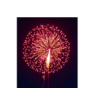 背景に花火が打ち上がる✨納涼花火セット（個別スタンプ：1）
