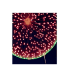 背景に花火が打ち上がる✨納涼花火セット（個別スタンプ：4）