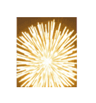 背景に花火が打ち上がる✨納涼花火セット（個別スタンプ：6）
