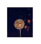 背景に花火が打ち上がる✨納涼花火セット（個別スタンプ：15）