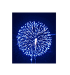 背景に花火が打ち上がる✨納涼花火セット（個別スタンプ：16）