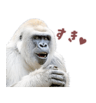 ごりごりゴリラ★好きしか勝たん！白（個別スタンプ：1）
