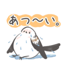 我、シマエナガさん！！ 夏！（個別スタンプ：1）