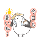 我、シマエナガさん！！ 夏！（個別スタンプ：2）