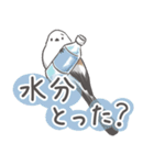 我、シマエナガさん！！ 夏！（個別スタンプ：5）
