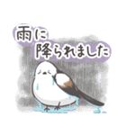 我、シマエナガさん！！ 夏！（個別スタンプ：12）