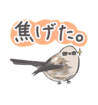 我、シマエナガさん！！ 夏！（個別スタンプ：13）