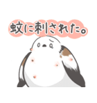 我、シマエナガさん！！ 夏！（個別スタンプ：15）