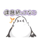 我、シマエナガさん！！ 夏！（個別スタンプ：30）