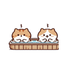 お風呂猫 恋したい気分,（個別スタンプ：17）