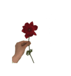 お花と一緒に届ける言葉*白文字•花言葉無*（個別スタンプ：9）
