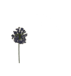 お花と一緒に届ける言葉*白文字•花言葉無*（個別スタンプ：14）