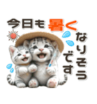 夏 猛暑 酷暑♡ホワイトタイガーとネコ（個別スタンプ：17）