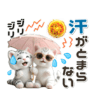夏 猛暑 酷暑♡ホワイトタイガーとネコ（個別スタンプ：20）