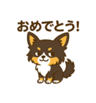 内弁慶チワワのご挨拶（おめでとう）（個別スタンプ：7）