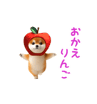 踊る！豆柴2（個別スタンプ：15）