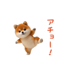 踊る！豆柴2（個別スタンプ：19）