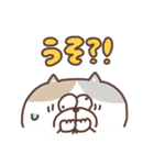 すんとしたねこ コミュニケーション大事（個別スタンプ：15）