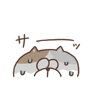 すんとしたねこ コミュニケーション大事（個別スタンプ：24）