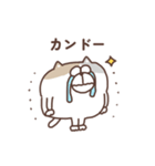 すんとしたねこ コミュニケーション大事（個別スタンプ：39）