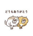 すんとしたねこ コミュニケーション大事（個別スタンプ：40）